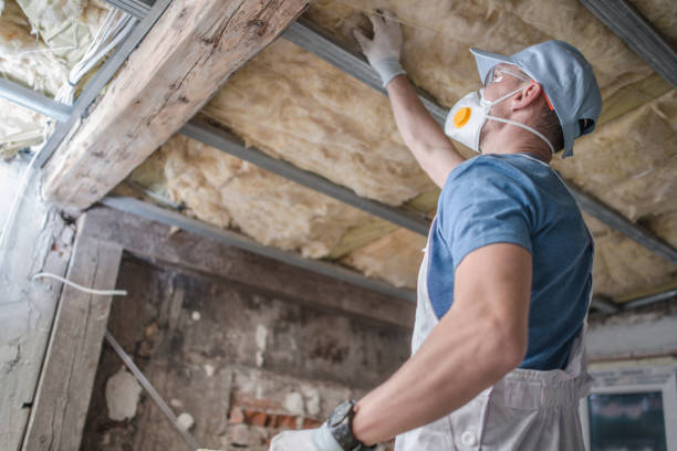 Best Blown-in Insulation  in South Hill, NY