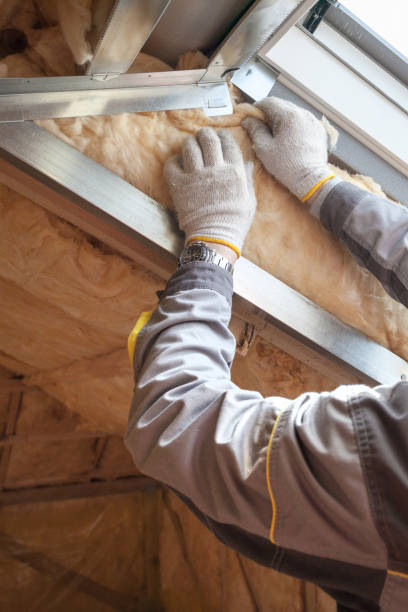 Best Crawl Space Insulation  in South Hill, NY