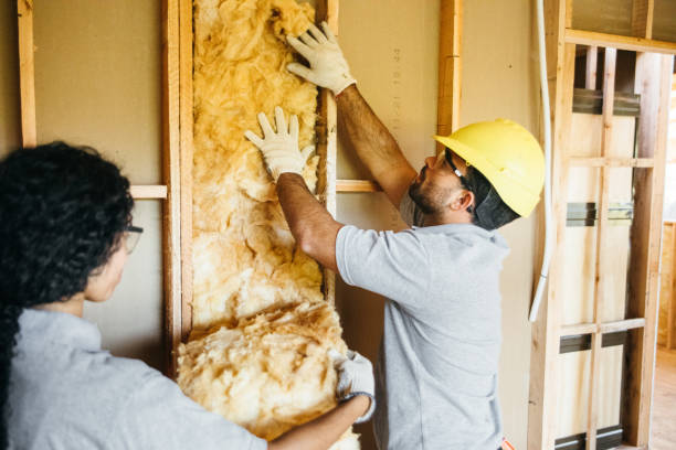 Best Home Insulation Services  in South Hill, NY