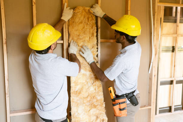 Best Spray Foam Insulation  in South Hill, NY