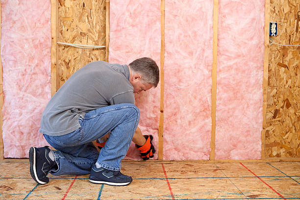 Best Best Insulation Companies  in South Hill, NY