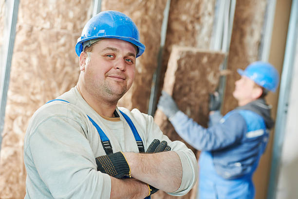 Best Insulation Removal Services  in South Hill, NY